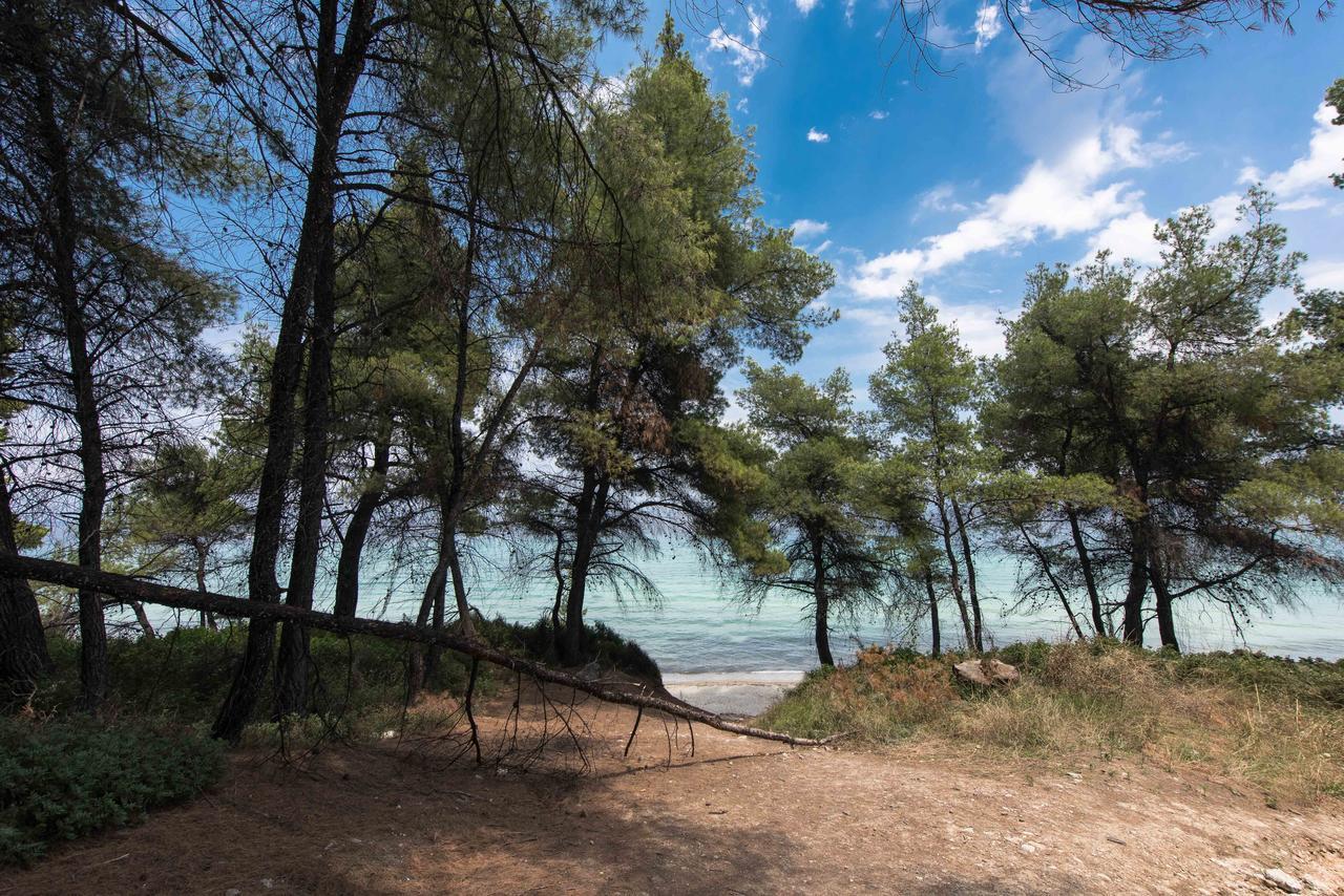 Kriopigi Pines By The Sea By Luxlikehome Buitenkant foto
